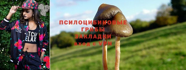 героин Алзамай