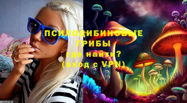стафф Алексеевка