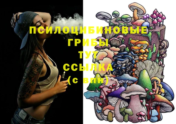 стаф Алексин