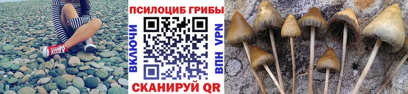 Псилоцибиновые грибы мухоморы  Уяр 